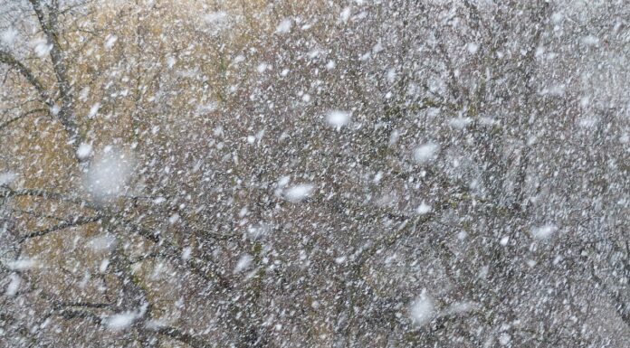 Neujahrsempfang wegen Schneefall abgesagt: Stadt Hannover trifft Entscheidung für Sicherheit der Gäste und Mitwirkenden