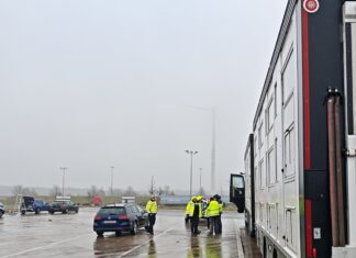 Polizei überprüft Tiertransporte auf der Autobahn und stellt 17 Verstöße fest. Tierschutz und Verkehrssicherheit im Fokus