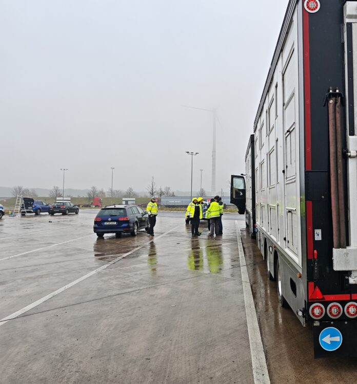 Polizei überprüft Tiertransporte auf der Autobahn und stellt 17 Verstöße fest. Tierschutz und Verkehrssicherheit im Fokus
