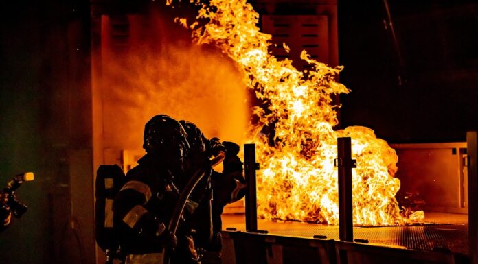 Katze aus Brandwohnung gerettet: Feuerwehr löschte Balkon- und Zimmerbrand, Bewohner verletzt in Klinik gebracht, Einsatz gestoppt