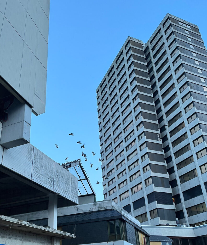 Vorprogramm SLAM 2026 - Zwischen Beton und Poesie