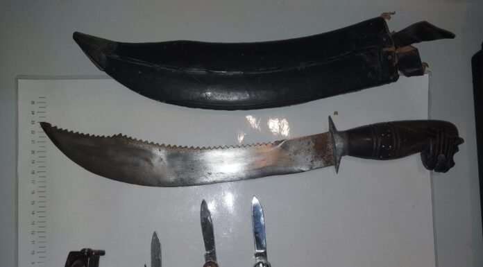 Schock im ICE: Machete und Messer – Mann ohne Ticket soll Fahrrad gestohlen haben und greift später einen Polizisten an