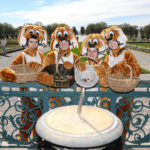 Osterhasen verteilen Schokolade: Osterspaziergang mit Spielen, Märchen, Führungen, Kutsche und Ballonblick in Herrenhausen
