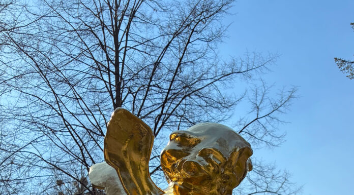 Goldener Engel kehrt zurück: Nach Diebstahl 2023 steht die vergoldete Putte wieder am Brunnen – dank Nachguss und Spenden