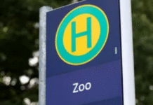 Gleisbauarbeiten auf der Linie 11 führen zur Sperrung. Stadtbahn endet an Haltestelle Freundallee, alternative Buslinien stehen bereit