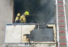Verletzte Katze nach Feuer auf Balkon: In Hannover löscht die Feuerwehr schnell, rettet das Tier und verhindert Schlimmeres
