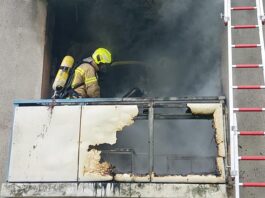 Verletzte Katze nach Feuer auf Balkon: In Hannover löscht die Feuerwehr schnell, rettet das Tier und verhindert Schlimmeres