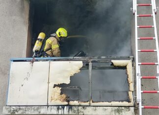 Verletzte Katze nach Feuer auf Balkon: In Hannover löscht die Feuerwehr schnell, rettet das Tier und verhindert Schlimmeres