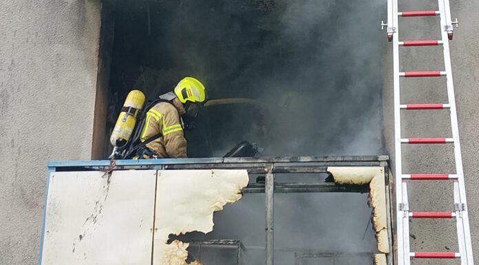Verletzte Katze nach Feuer auf Balkon: In Hannover löscht die Feuerwehr schnell, rettet das Tier und verhindert Schlimmeres