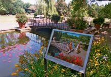 Die digitale Stadtparksafari Hannover führt per App durch den Stadtpark und erinnert mit Rätseln und Fotos an die Bundesgartenschau 1951