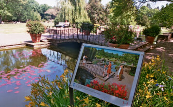 Digitale Stadtparksafari im Stadtpark Hannover Die digitale Stadtparksafari Hannover führt per App durch den Stadtpark und erinnert mit Rätseln und Fotos an die Bundesgartenschau 1951