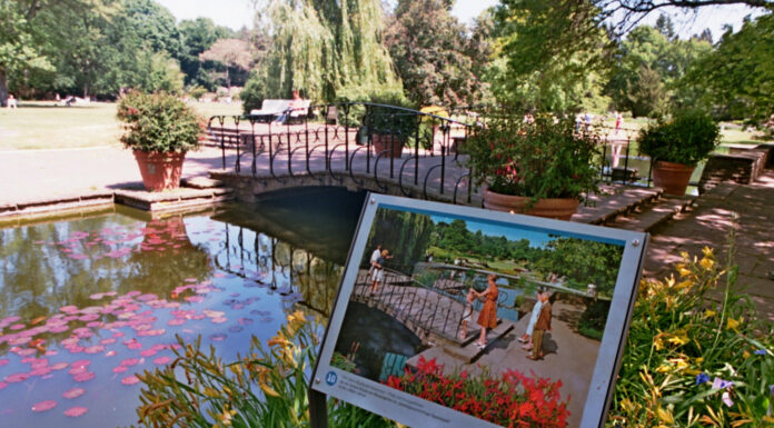 Die digitale Stadtparksafari Hannover führt per App durch den Stadtpark und erinnert mit Rätseln und Fotos an die Bundesgartenschau 1951