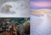 Die GDT-Fotoausstellung im KunstGang der MHH in Hannover zeigt bis 25.10.2026 preisgekrönte Naturbilder bei freiem Eintritt