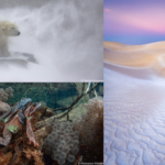 Die GDT-Fotoausstellung im KunstGang der MHH in Hannover zeigt bis 25.10.2026 preisgekrönte Naturbilder bei freiem Eintritt