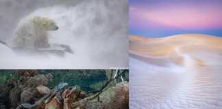 Die GDT-Fotoausstellung im KunstGang der MHH in Hannover zeigt bis 25.10.2026 preisgekrönte Naturbilder bei freiem Eintritt