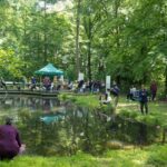 Sommerfest in der Waldstation Eilenriede: Am 28. Juni 2026 gibt es in der Kleestraße 81 in Hannover Naturaktionen und Turmaufstieg