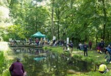 Sommerfest in der Waldstation Eilenriede: Am 28. Juni 2026 gibt es in der Kleestraße 81 in Hannover Naturaktionen und Turmaufstieg