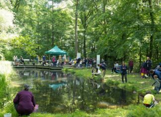 Sommerfest in der Waldstation Eilenriede: Am 28. Juni 2026 gibt es in der Kleestraße 81 in Hannover Naturaktionen und Turmaufstieg