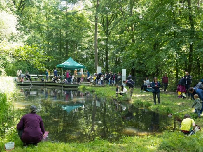 Sommerfest in der Waldstation Eilenriede in Hannover Sommerfest in der Waldstation Eilenriede: Am 28. Juni 2026 gibt es in der Kleestraße 81 in Hannover Naturaktionen und Turmaufstieg