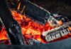 Grillen in Parks in Hannover ist ab dem morgigen Donnerstag wegen Trockenheit verboten. Betroffen sind öffentliche Grünanlagen